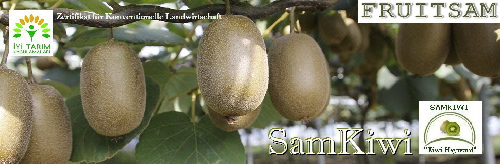 Samkiwi Fruitsam